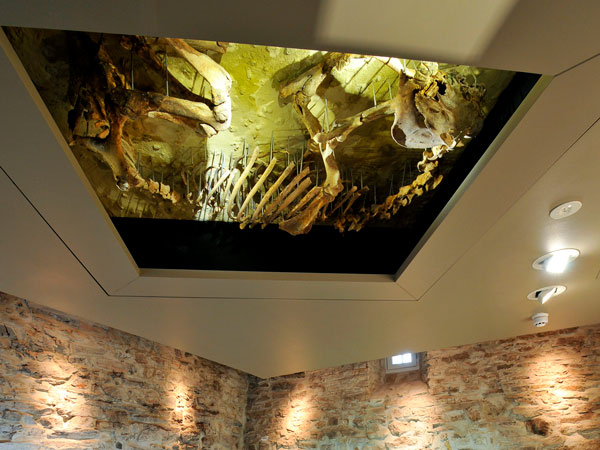 Der sog. „Pößnecker Pferdehimmel“ zeigt das Skelett eines Pferdes, welches in diesem Raum bei Grabungsarbeiten zur Sanierung des heutigen Museumsgebäudes gefunden wurde und eingefasst von der Decke des Raumes hängt.